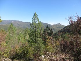 image IMG_6888.jpg (4.7MB)